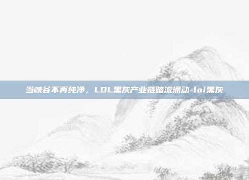 当峡谷不再纯净，LOL黑灰产业链暗流涌动-lol黑灰