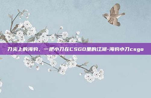 刀尖上的海豹，一把小刀在CSGO里的江湖-海豹小刀csgo