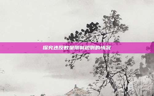探究违反数量限制规则的情况