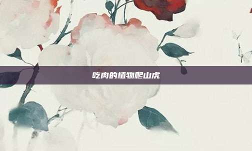 吃肉的植物爬山虎