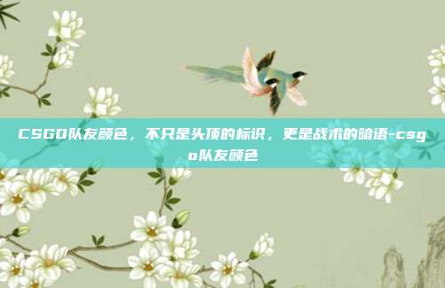 CSGO队友颜色，不只是头顶的标识，更是战术的暗语-csgo队友颜色
