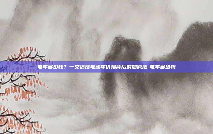 电车多少钱？一文搞懂电动车价格背后的加减法-电车多少钱