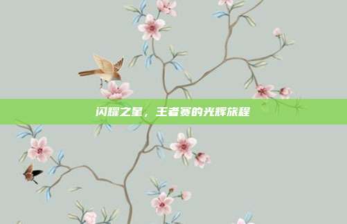 闪耀之星,王者赛的光辉旅程
