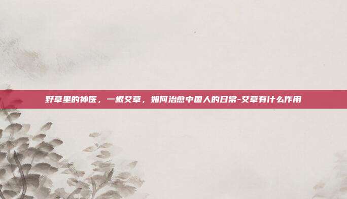 野草里的神医，一根艾草，如何治愈中国人的日常-艾草有什么作用