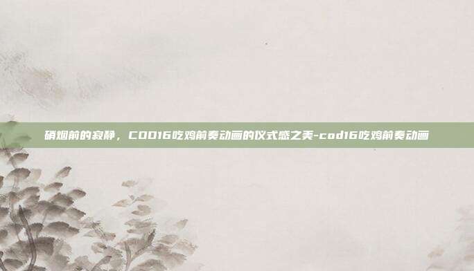 硝烟前的寂静，COD16吃鸡前奏动画的仪式感之美-cod16吃鸡前奏动画