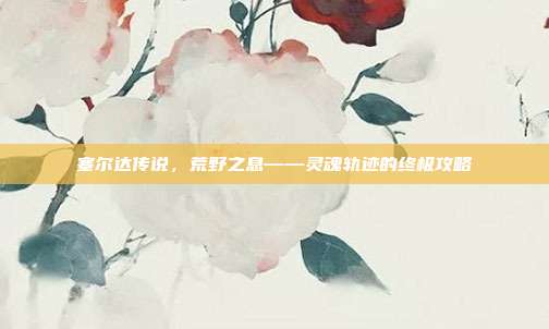 塞尔达传说，荒野之息——灵魂轨迹的终极攻略