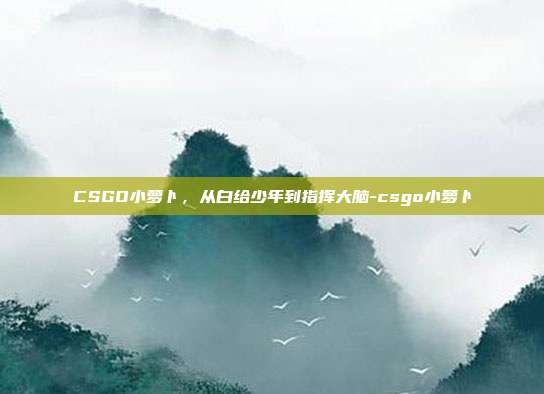 CSGO小萝卜，从白给少年到指挥大脑-csgo小萝卜
