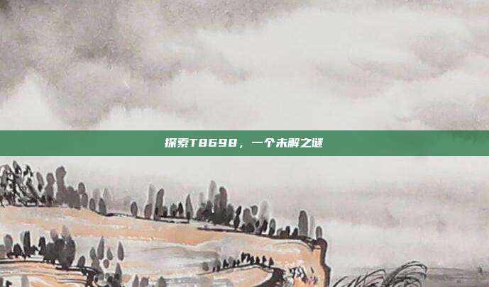 探索T8698，一个未解之谜