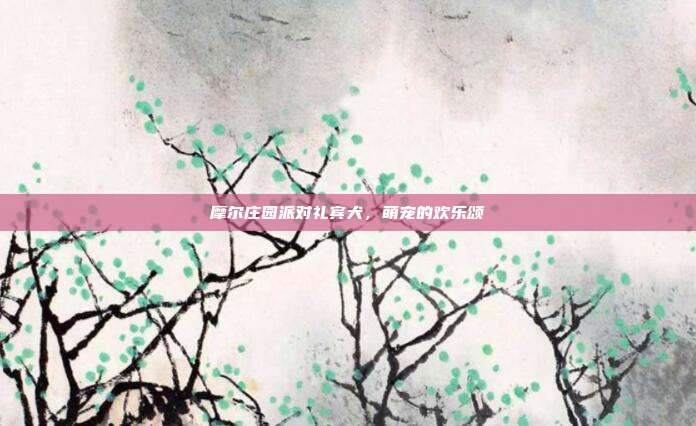 摩尔庄园派对礼宾犬，萌宠的欢乐颂