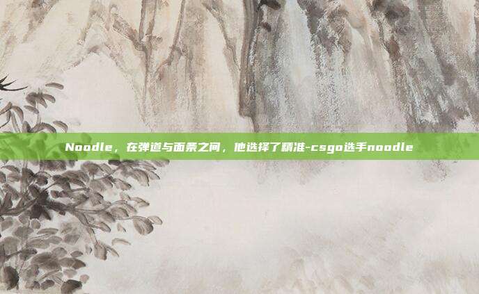 Noodle,在弹道与面条之间,他选择了精准-csgo选手noodle