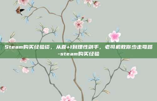 Steam购买经验谈,从喜+1到理性剁手,老司机教你少走弯路-steam购买经验