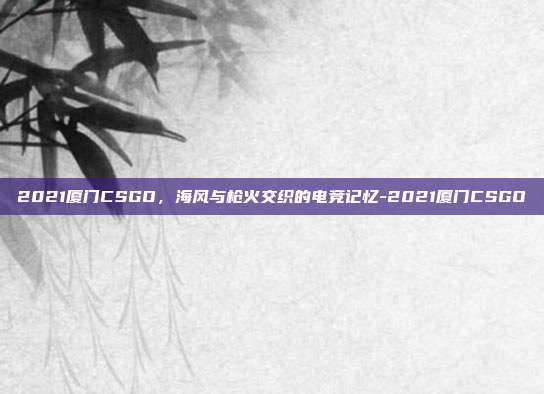 2021厦门CSGO,海风与枪火交织的电竞记忆-2021厦门CSGO