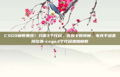 CSGO帧数暴涨！只需3个代码，告别卡顿掉帧，电竞手感直接拉满-csgo3个代码增加帧数