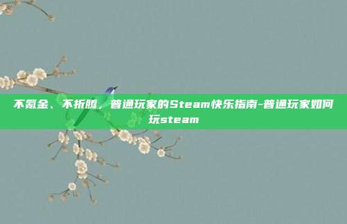 不氪金、不折腾，普通玩家的Steam快乐指南-普通玩家如何玩steam