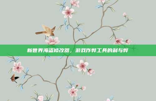 新世界海盗修改器，游戏作弊工具的利与弊