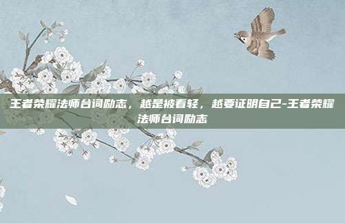 王者荣耀法师台词励志，越是被看轻，越要证明自己-王者荣耀法师台词励志