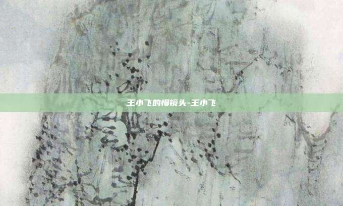 王小飞的慢镜头-王小飞