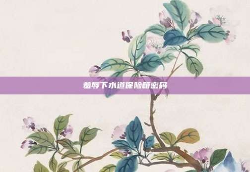 羞辱下水道保险箱密码