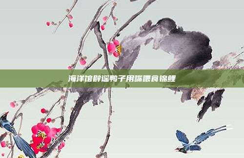海洋馆辟谣鸭子用嘴喂食锦鲤