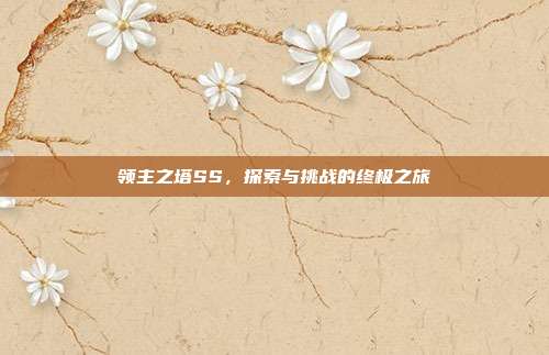 领主之塔SS，探索与挑战的终极之旅