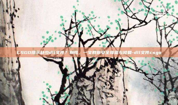 CSGO提示缺少dll文件?别慌,一文教你安全排查与修复-dll文件csgo
