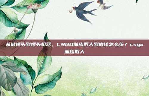 从被爆头到爆头机器,CSGO训练假人到底该怎么练?csgo训练假人