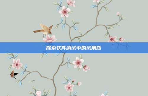 探索软件测试中的试用版