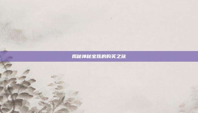 揭秘神秘宝珠的购买之旅