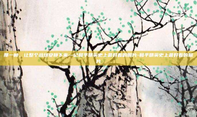 那一帧,让整个战场安静下来—记和平精英史上最好看的照片-和平精英史上最好看的照片