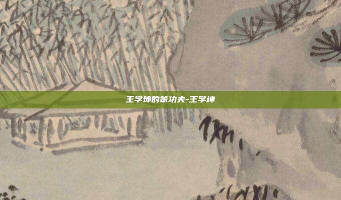 王学坤的笨功夫-王学坤