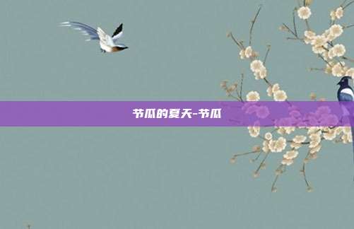 节瓜的夏天-节瓜