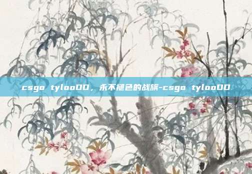 csgo tylooDD,永不褪色的战旗-csgo tylooDD