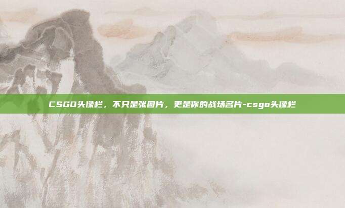 CSGO头像栏，不只是张图片，更是你的战场名片-csgo头像栏