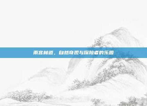 雨宫林道,自然奇观与探险者的乐园