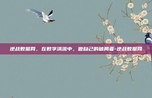 逆战数据网,在数字洪流中,做自己的破局者-逆战数据网