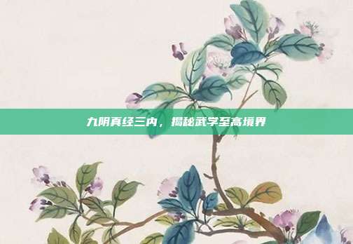 九阴真经三内,揭秘武学至高境界