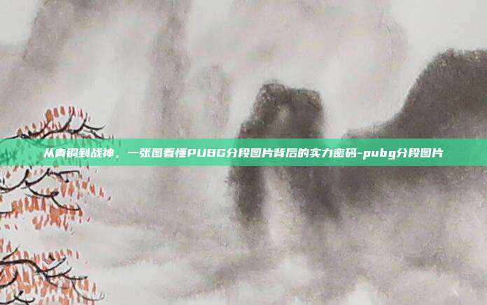 从青铜到战神,一张图看懂PUBG分段图片背后的实力密码-pubg分段图片