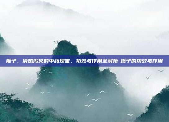 栀子，清热泻火的中药瑰宝，功效与作用全解析-栀子的功效与作用