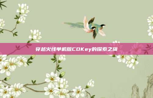 穿越火线单机版CDKey的探索之旅