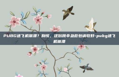 PUBG进飞机崩溃？别慌，这份跳伞急救包请收好-pubg进飞机崩溃