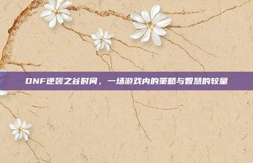 DNF逆袭之谷时间,一场游戏内的策略与智慧的较量