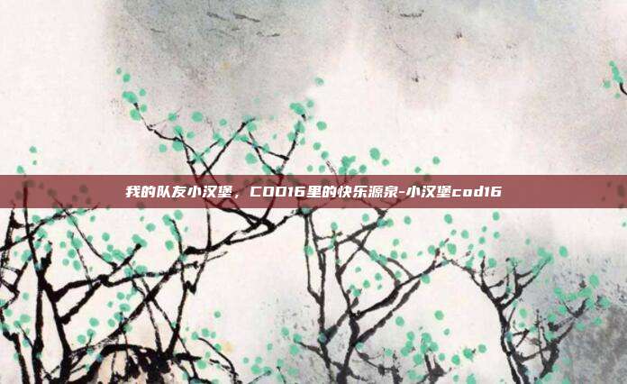 我的队友小汉堡,COD16里的快乐源泉-小汉堡cod16