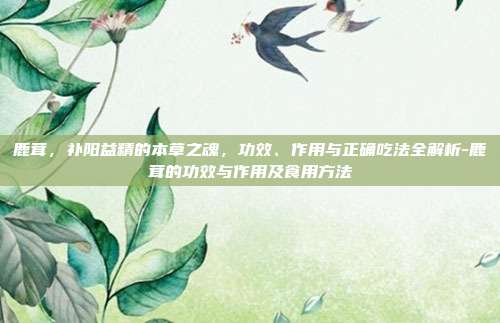 鹿茸,补阳益精的本草之魂,功效、作用与正确吃法全解析-鹿茸的功效与作用及食用方法