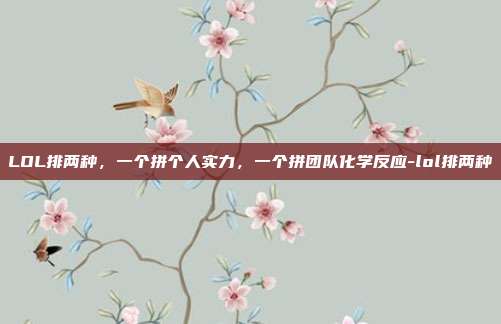 LOL排两种,一个拼个人实力,一个拼团队化学反应-lol排两种