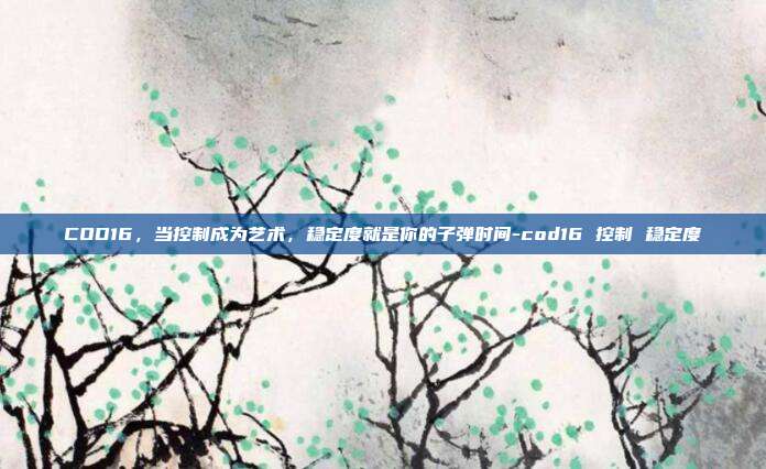 COD16，当控制成为艺术，稳定度就是你的子弹时间-cod16 控制 稳定度