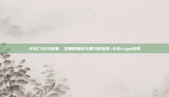 卡托CSGO决赛,王朝的加冕与黑马的悲歌-卡托csgo决赛