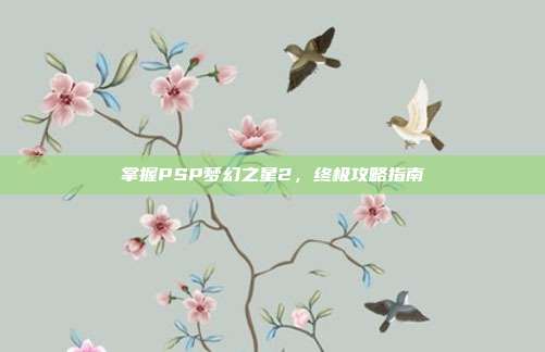 掌握PSP梦幻之星2,终极攻略指南