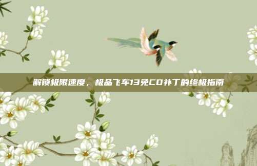 解锁极限速度，极品飞车13免CD补丁的终极指南