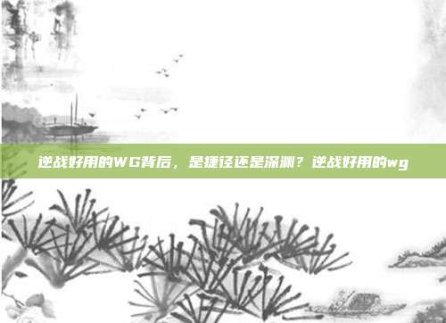 逆战好用的WG背后，是捷径还是深渊？逆战好用的wg
