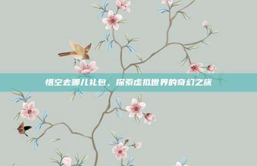 悟空去哪儿礼包,探索虚拟世界的奇幻之旅